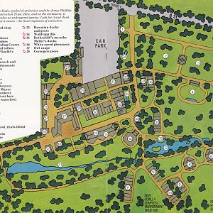 Zoo Map, 1981