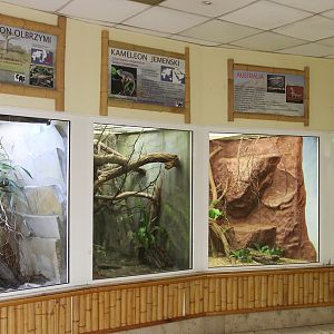 Reptile House - Chameleons section