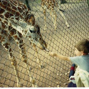 Scanned Catskill Game Farm Photo 1989