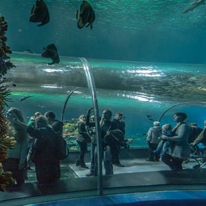 Oceanet-Tunnel-1-Kredit-Per-Fl_ng-798x400