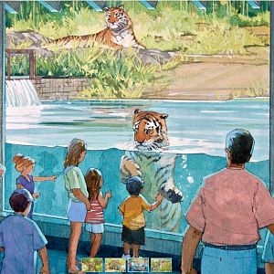 Tiger Trail Underwater View