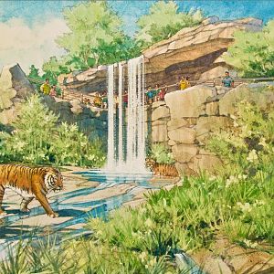 Tiger Trail Waterfall