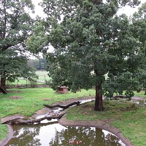 European brown bear enclosure