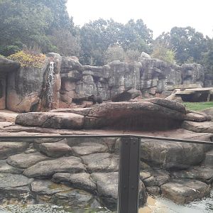 Prairie/Northwoods - Grizzley Bear