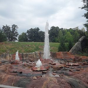 Prairie/Northwoods - Geyser