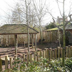 New Cassowary paddock