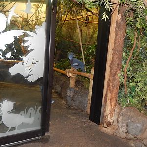 Feb. 2014 - Wings of the World- Freedom!