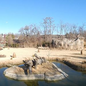 Feb. 2014 - Africa Panorama