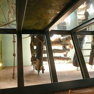 Gorilla House new indoor area