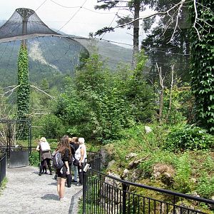 Walk-through Owl Aviary