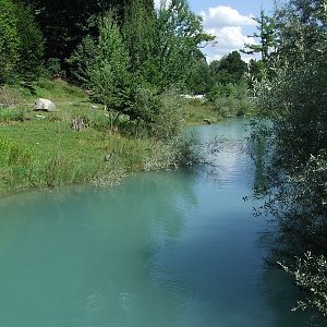 European Otter Exhibit