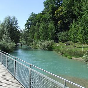 European Otter Exhibit