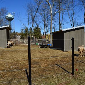 Feb 2014 - new reindeer enclosure