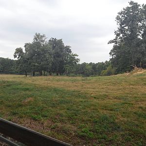 Prairie - Exhibit View