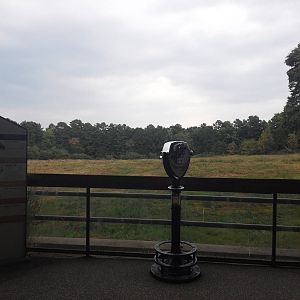 Prairie - Exhibit View