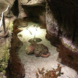 Aquario de Madeira , Porto Moniz
