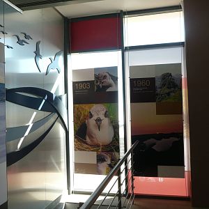 Madeira Petrel Visitor Centre