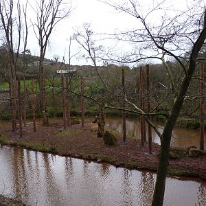 Orangutan Island, 23 February 2014