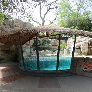 Wilds of Africa - Gateway - African Penguin Exhibit