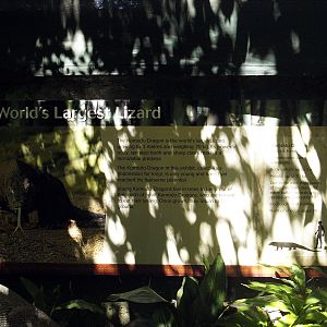 Komodo dragon signage