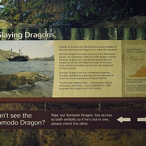 Komodo dragon signage