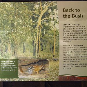 Signage inside viewing hut