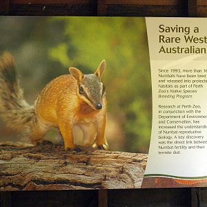 Signage inside viewing hut