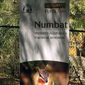 Numbat signage