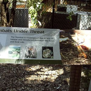 Numbat signage