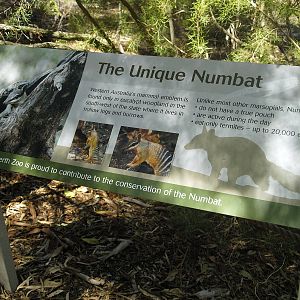 Numbat signage