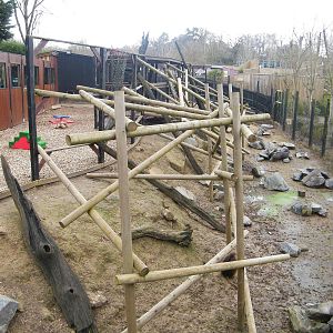 gelada enclosure