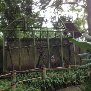 Typical primate enclosure