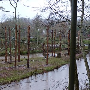 Orangutan Islands update, 2 March 2014