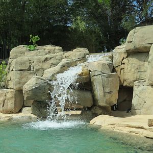 Wilds of Africa - Gateway - African Penguin Exhibit
