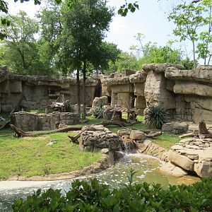 Wilds of Africa - Gateway - Mandrill Exhibit
