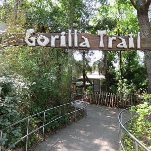 Wilds of Africa - Gorilla Trail - Entrance