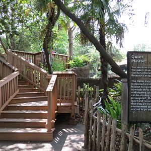 Wilds of Africa - Gorilla Trail - Gorilla Exhibit 1