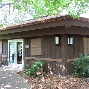 Wilds of Africa - Gorilla Trail - Gorilla Station