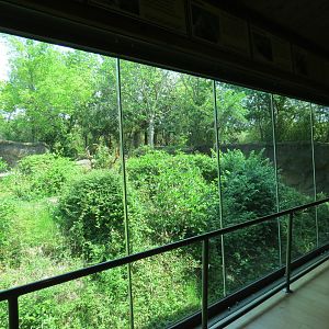 Wilds of Africa - Gorilla Trail - Gorilla Station View of Exhibit 1