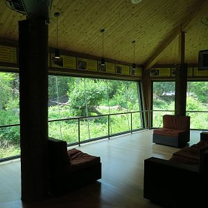 Wilds of Africa - Gorilla Trail - Gorilla Station