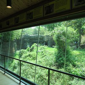 Wilds of Africa - Gorilla Trail - Gorilla Station View of Exhibit 2