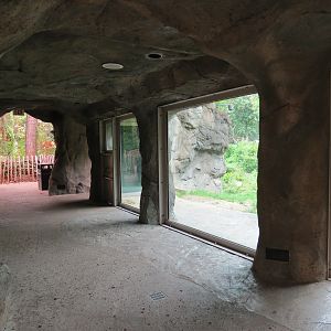 Wilds of Africa - Gorilla Trail - Gorilla Exhibit 2