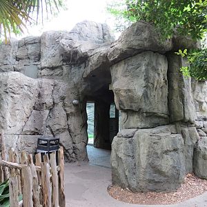 Wilds of Africa - Gorilla Trail - Gorilla Exhibit 2