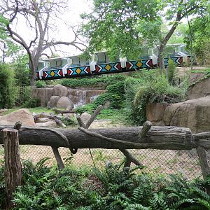 Wilds of Africa - Gorilla Trail - Nile Crocodile Exhibit