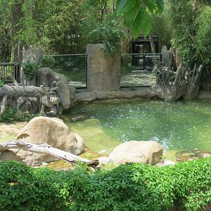 Wilds of Africa - Gorilla Trail - Nile Crocodile Exhibit