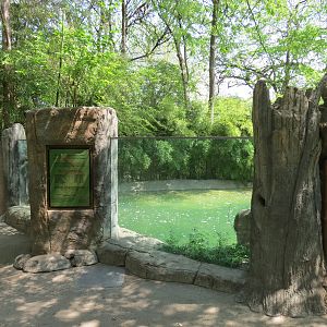 Wilds of Africa - Gorilla Trail - Nile Crocodile Exhibit