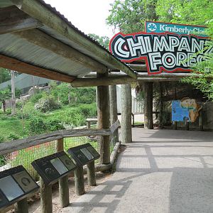 Wilds of Africa - Gorilla Trail - Chimpanzee Exhibit