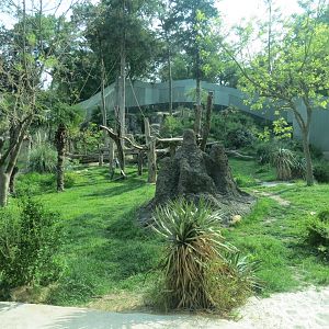 Wilds of Africa - Gorilla Trail - Chimpanzee Exhibit