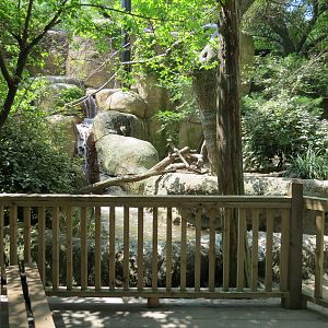 Wilds of Africa - Gorilla Trail - Forest Aviary