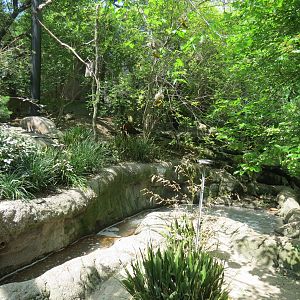 Wilds of Africa - Gorilla Trail - Forest Aviary